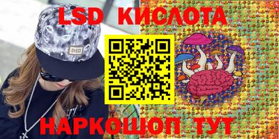 a pvp Аргун