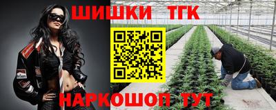 a pvp Аргун