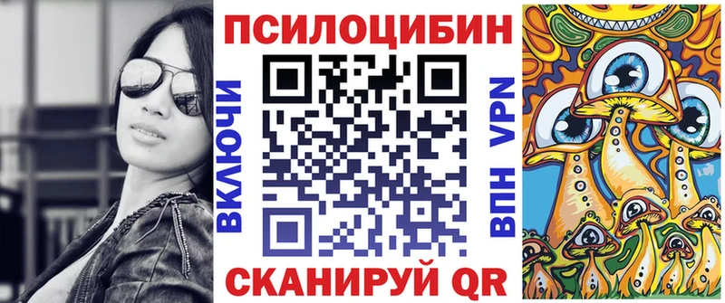 Псилоцибиновые грибы Cubensis  Асино 