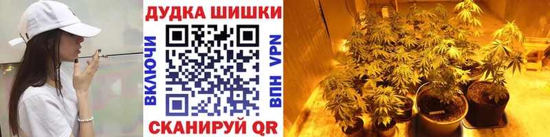 Канабис SATIVA & INDICA  цена   Асино 